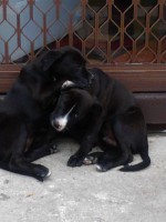 /album/joanns-photography/website-2-jpg/